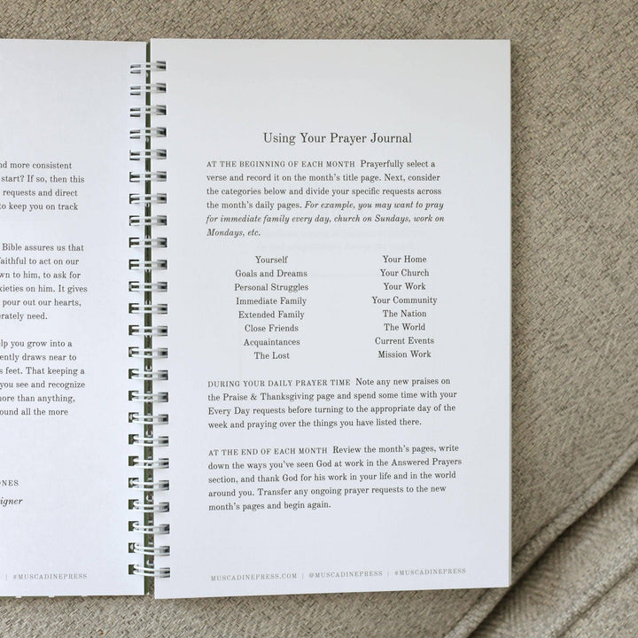 Lemonade Prayer Journal