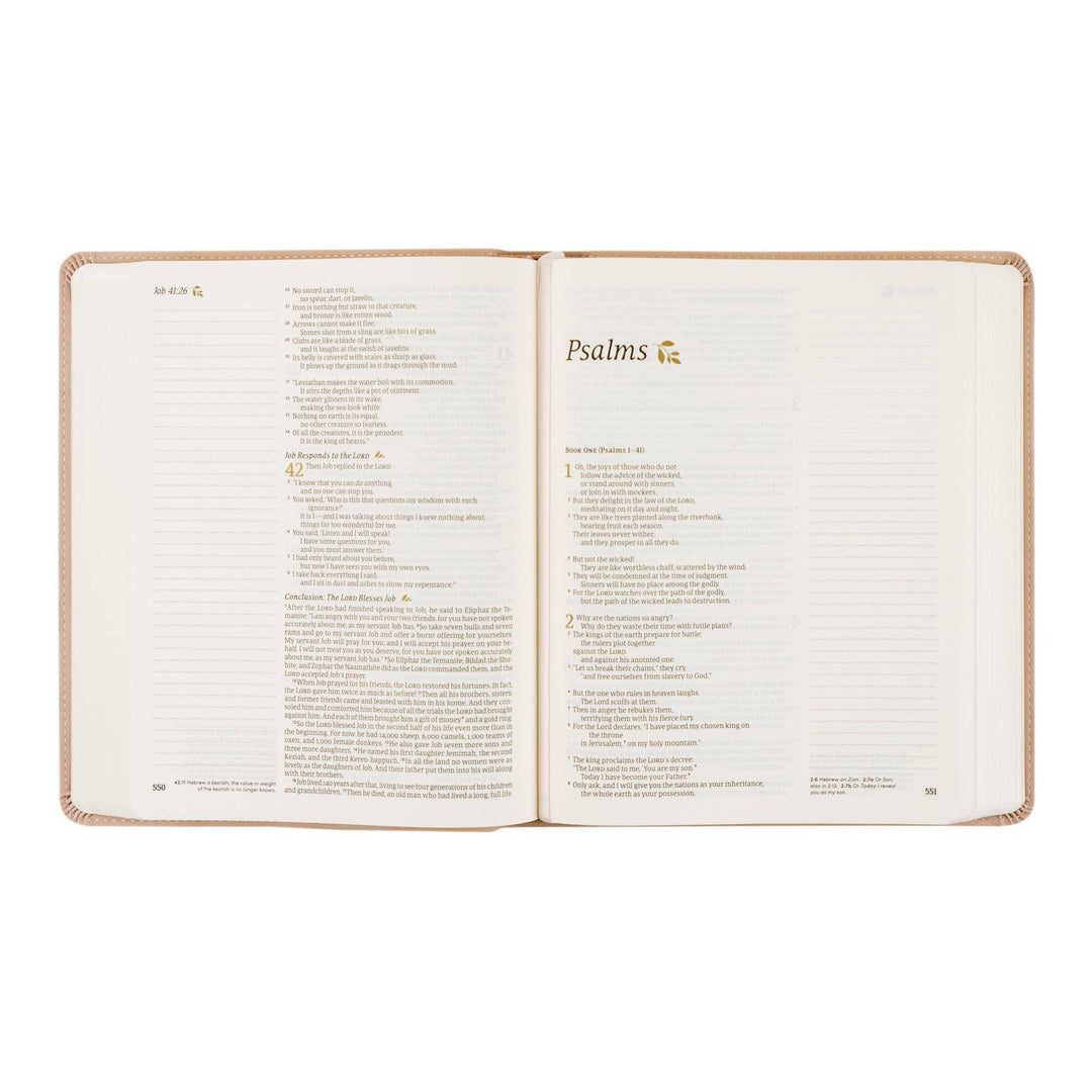 Shiloh Bible (NLT)