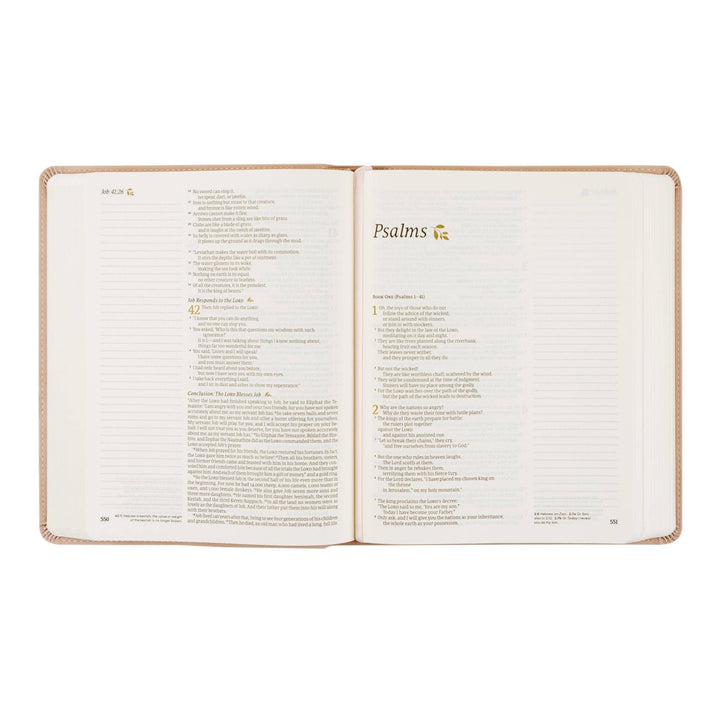 Shiloh Bible (NLT)
