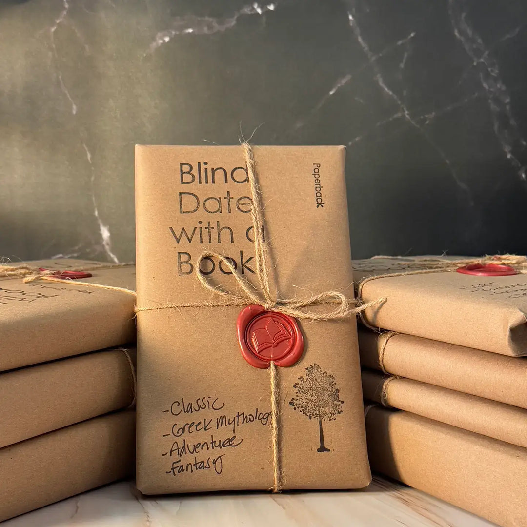 Blind Date with a Book wrapped in brown paper showcasing Christian fiction surprise adventure.